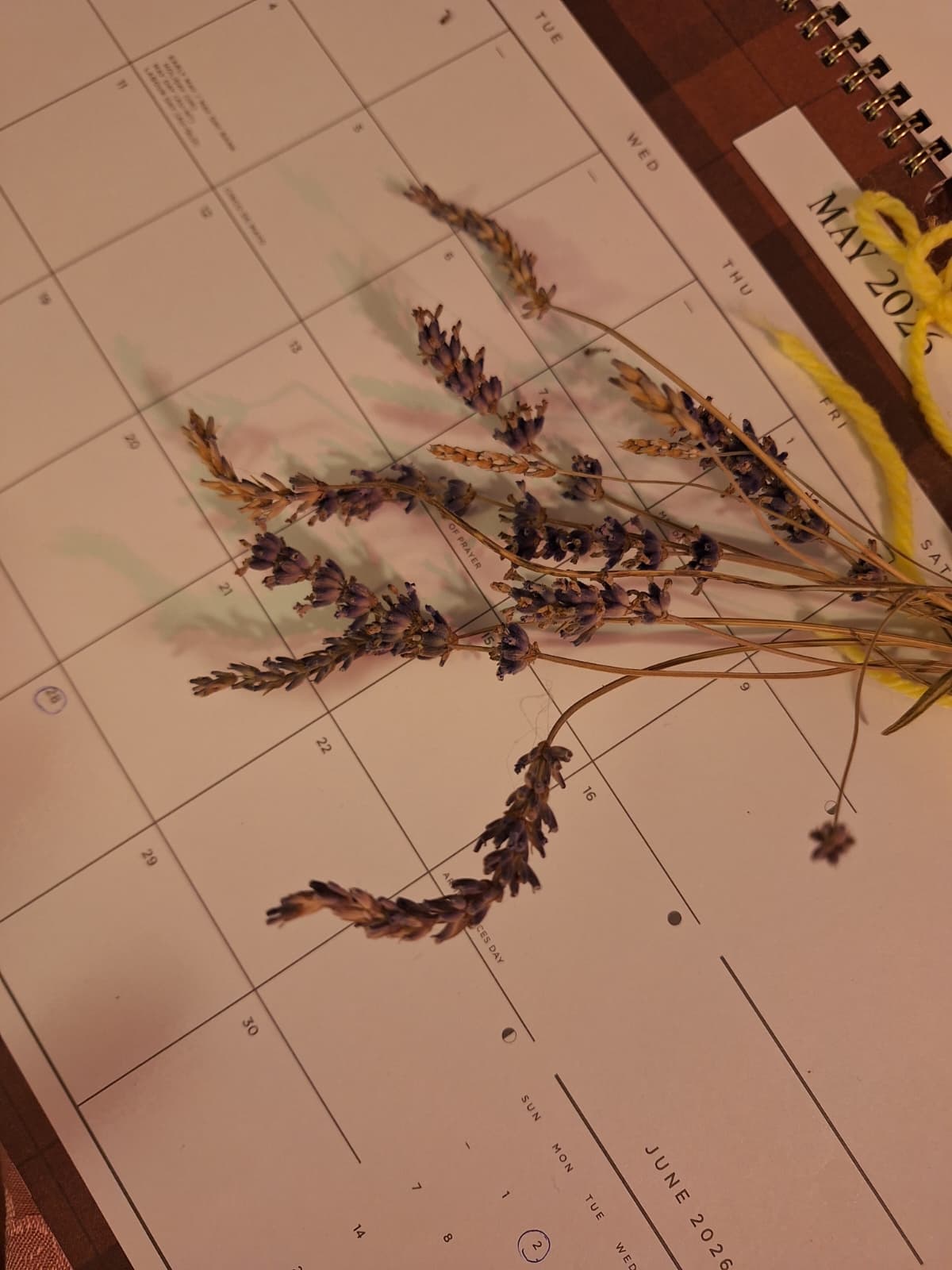 Planning a Foraging Calendar Workshop